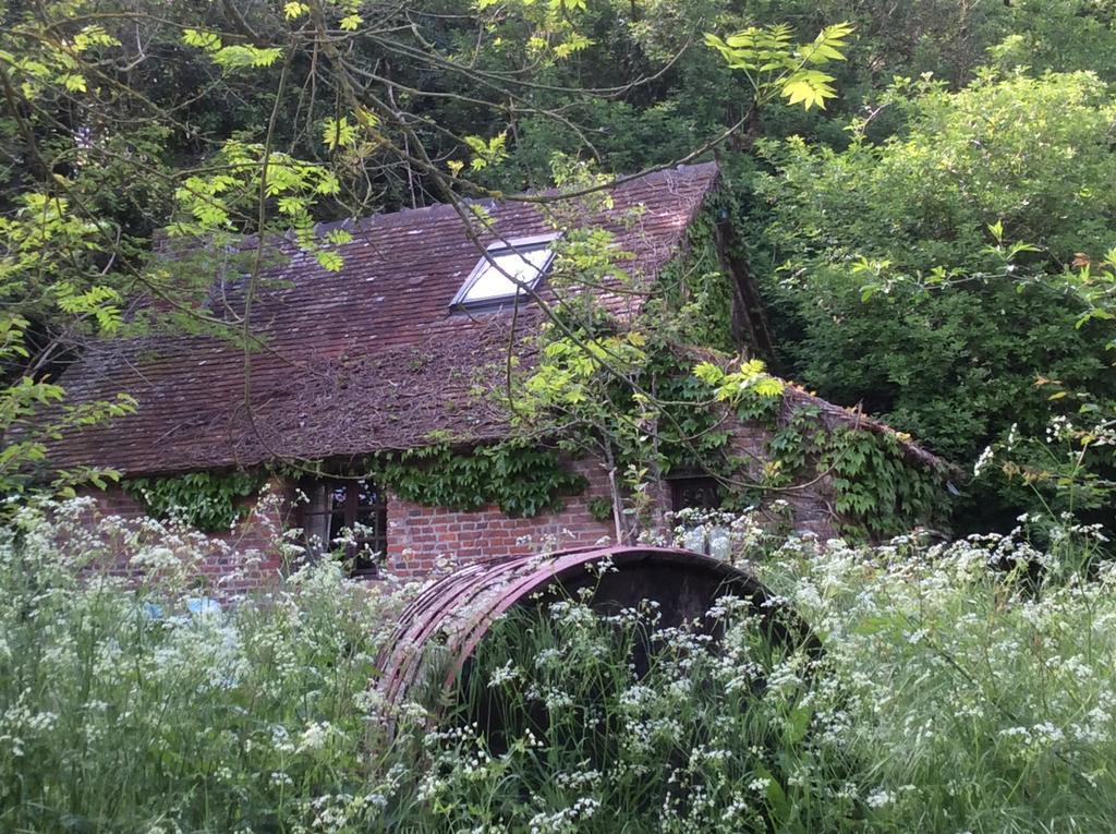 La Boursaie Bed & Breakfast Livarot-Pays-d'Auge ภายนอก รูปภาพ